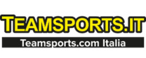 Logo Teamsports