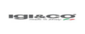 Logo IGI& Co